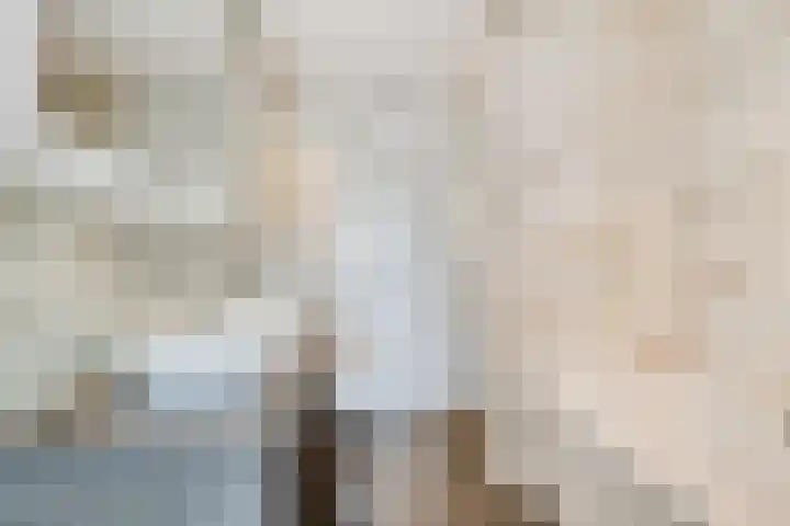 Wilgehaantje 4 Deventer thumbnail 17