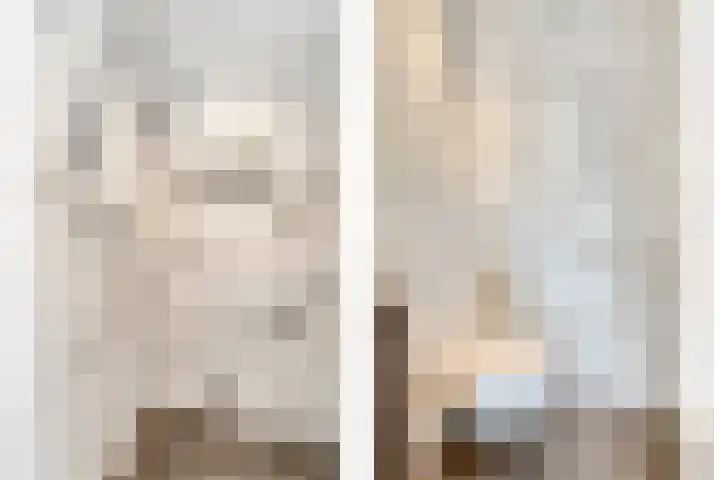 Wilgehaantje 4 Deventer thumbnail 18