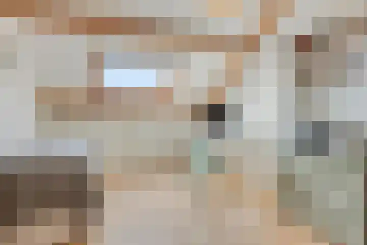 Wilgehaantje 4 Deventer thumbnail 22