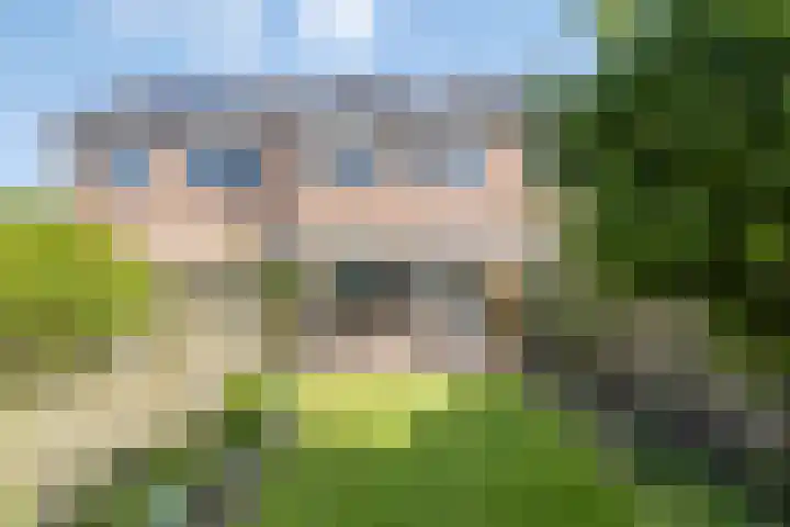 Wilgehaantje 4 Deventer thumbnail 25