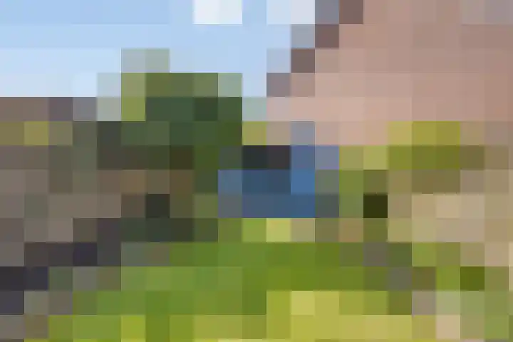 Wilgehaantje 4 Deventer thumbnail 26