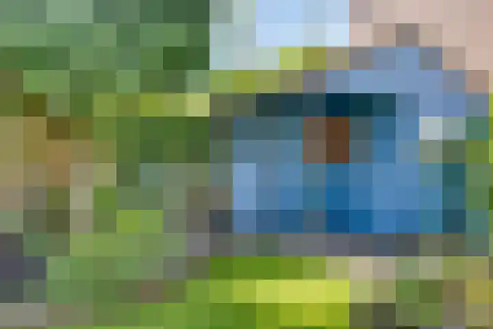 Wilgehaantje 4 Deventer thumbnail 27