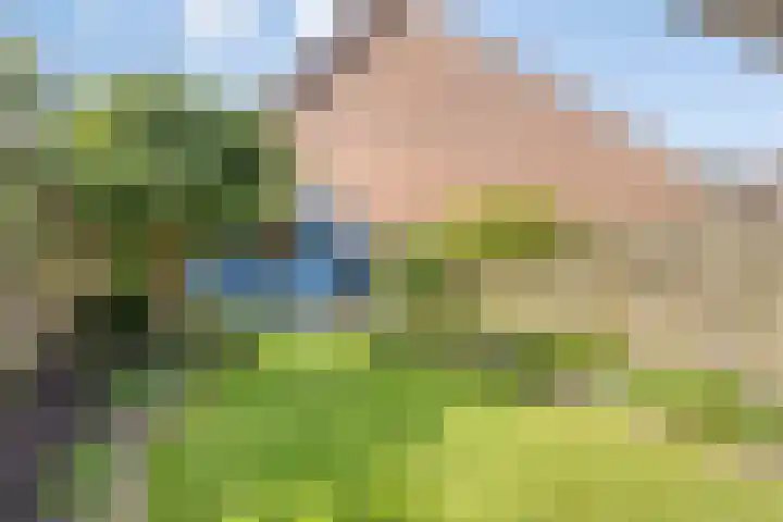 Wilgehaantje 4 Deventer thumbnail 28