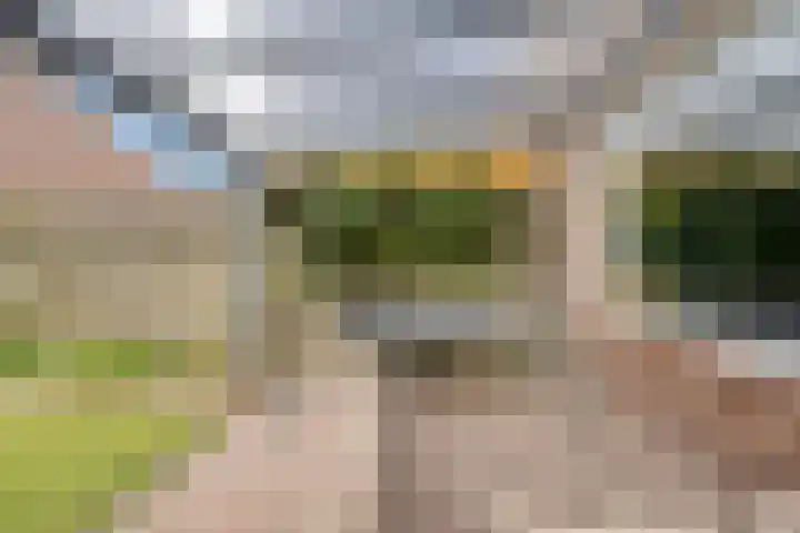 Wilgehaantje 4 Deventer thumbnail 29