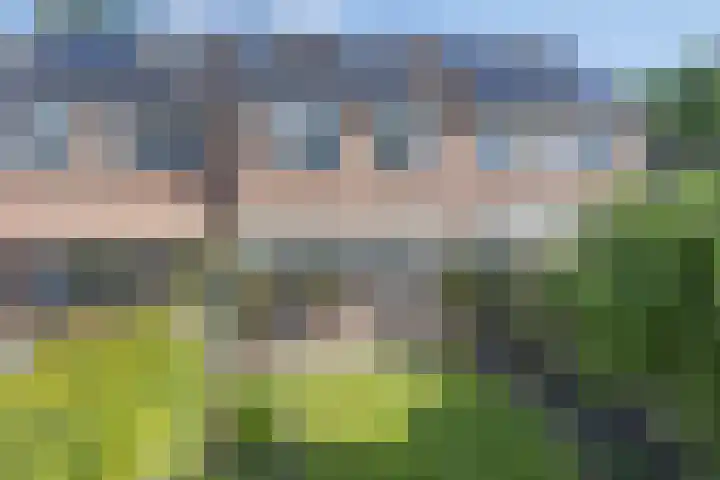Wilgehaantje 4 Deventer thumbnail 30