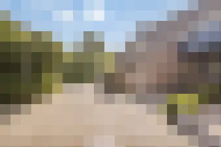 Wilgehaantje 4 Deventer thumbnail 31