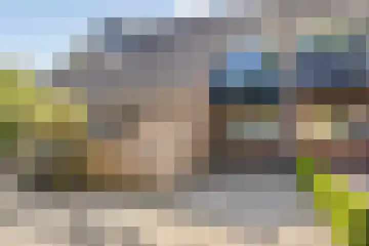 Wilgehaantje 4 Deventer thumbnail 32