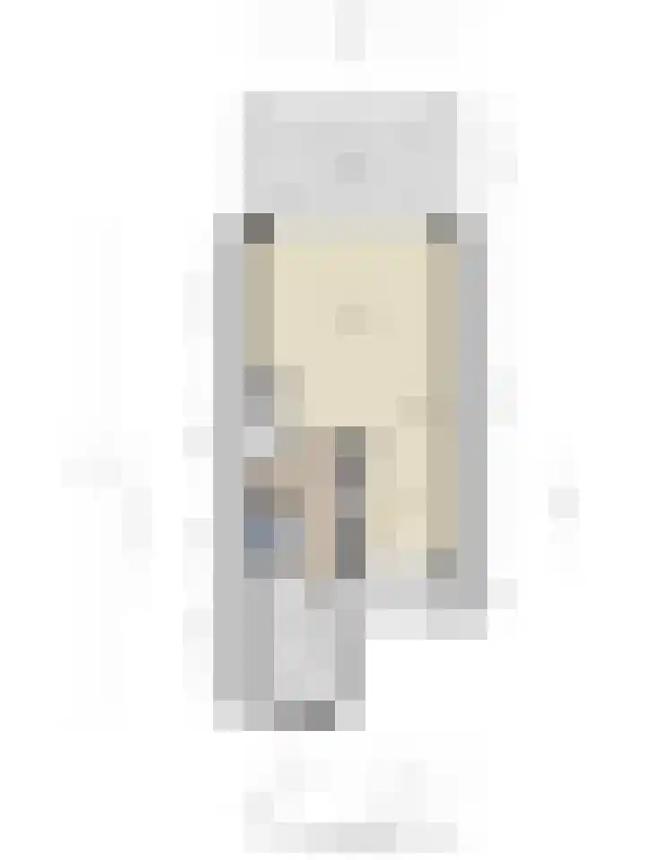 Wilgehaantje 4 Deventer thumbnail 36