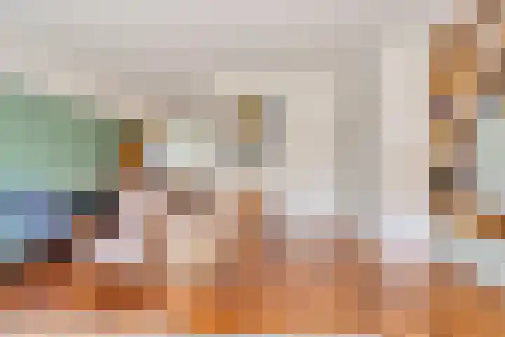 Wilgehaantje 4 Deventer thumbnail 5