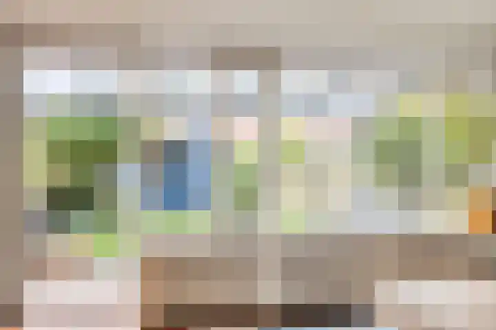 Wilgehaantje 4 Deventer thumbnail 6