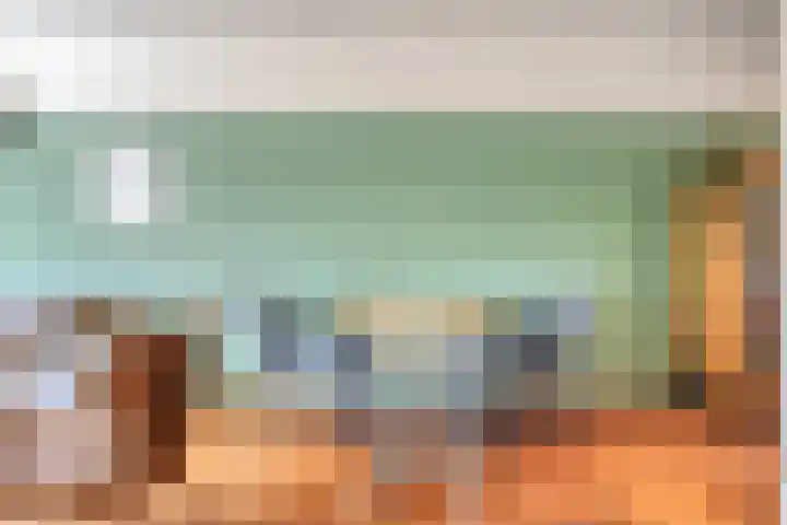 Wilgehaantje 4 Deventer thumbnail 7
