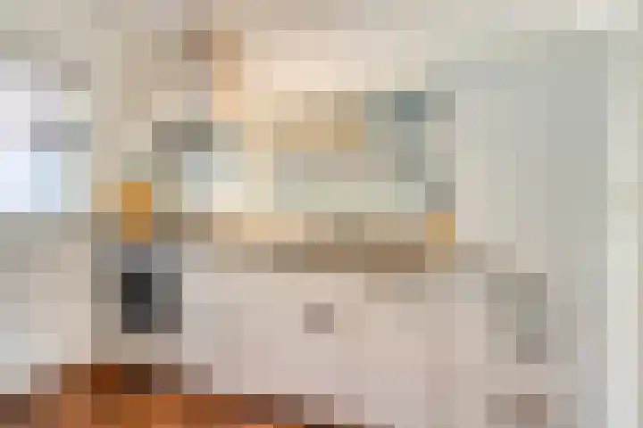 Wilgehaantje 4 Deventer thumbnail 9