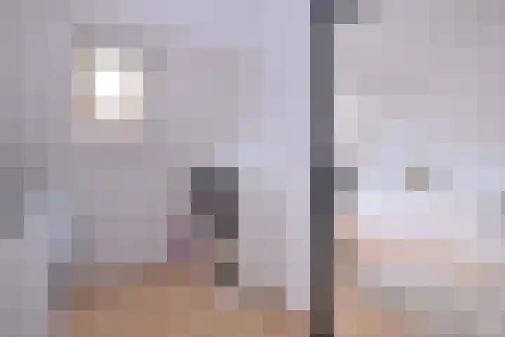 Wilgehaantje 42 Deventer thumbnail 31
