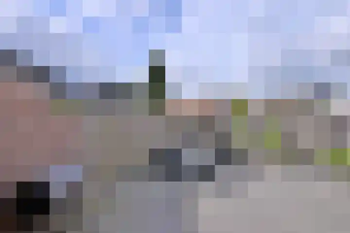 Wilgehaantje 42 Deventer thumbnail 37