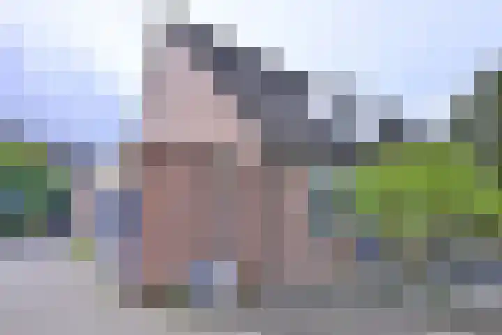 Wilgehaantje 42 Deventer thumbnail 43