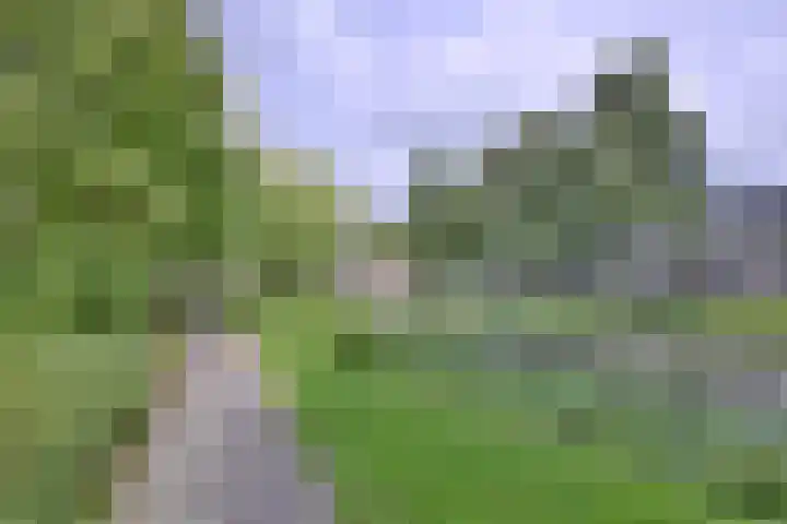 Wilgehaantje 42 Deventer thumbnail 47