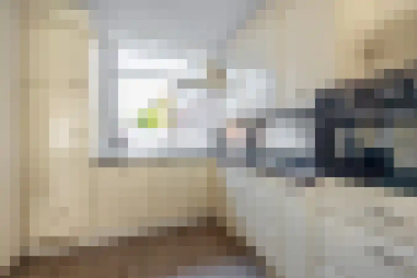 Wilgehout 1 Boskoop thumbnail 12