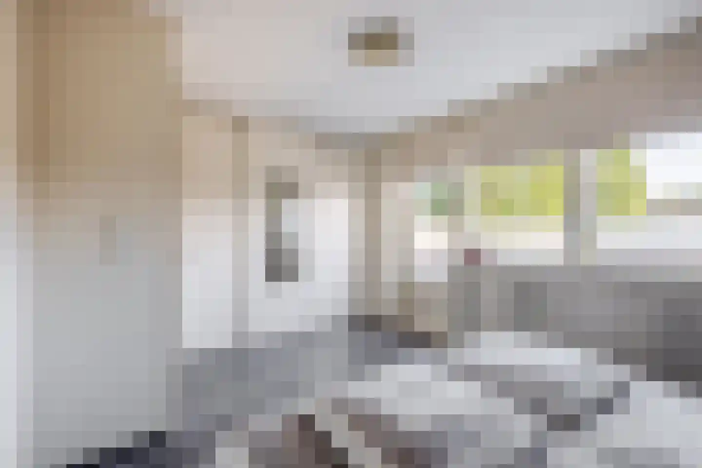 Wilgehout 1 Boskoop thumbnail 15