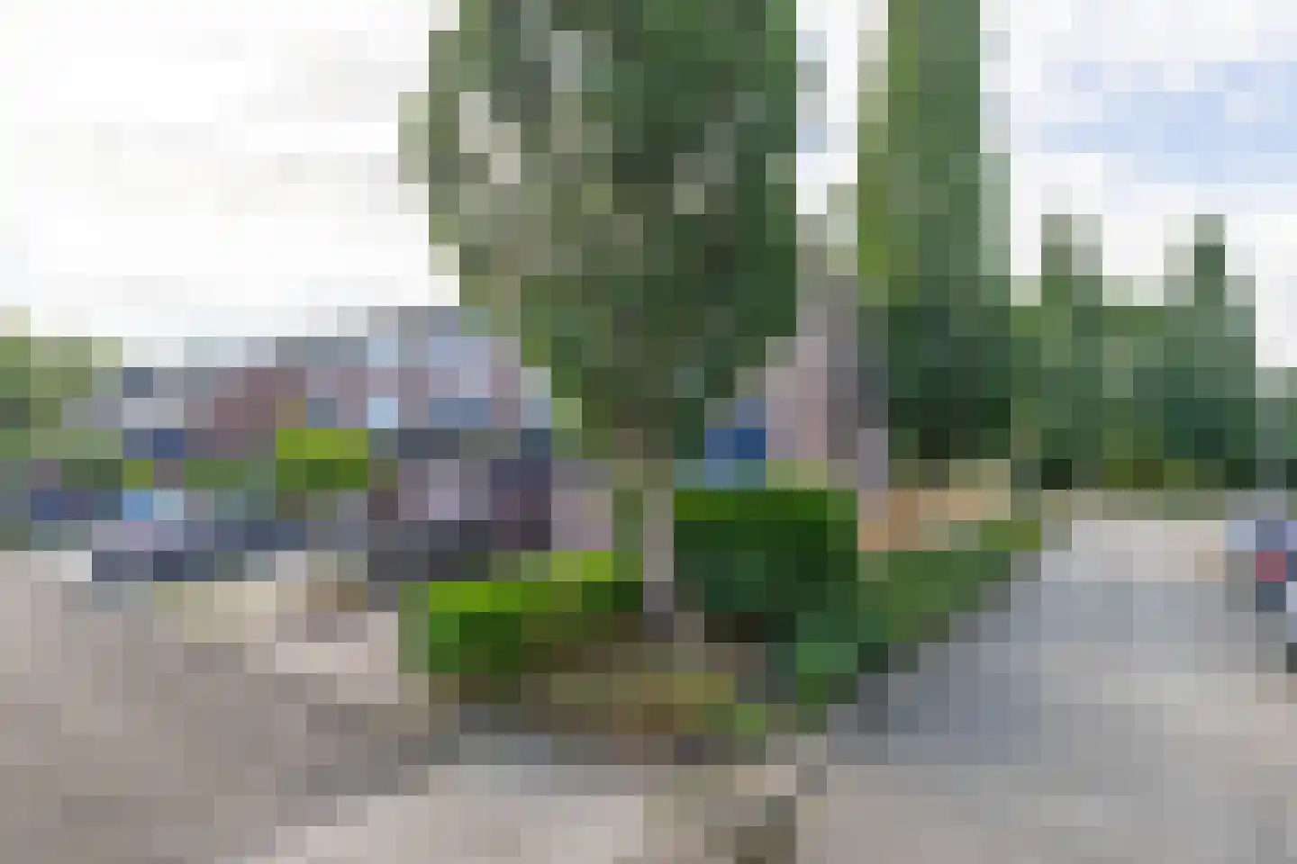 Wilgehout 1 Boskoop thumbnail 23