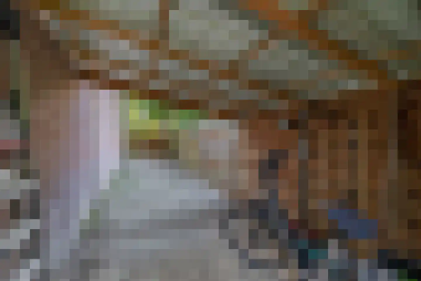 Wilgehout 1 Boskoop thumbnail 24