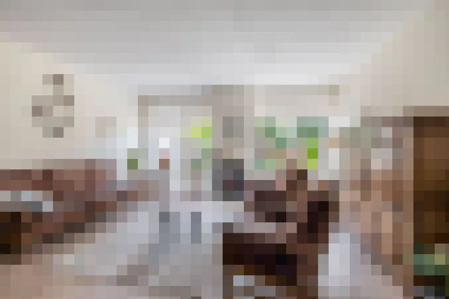Wilgehout 1 Boskoop thumbnail 5