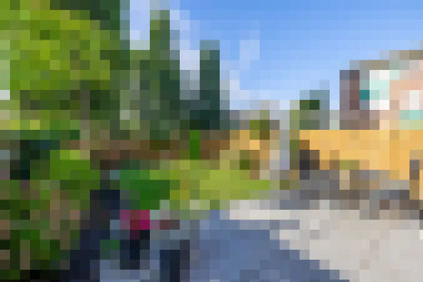 Wilgehout 1 Boskoop thumbnail 6