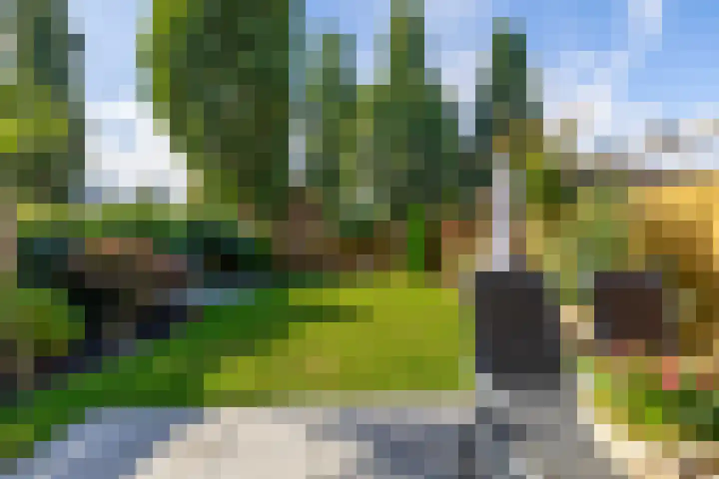Wilgehout 1 Boskoop thumbnail 7