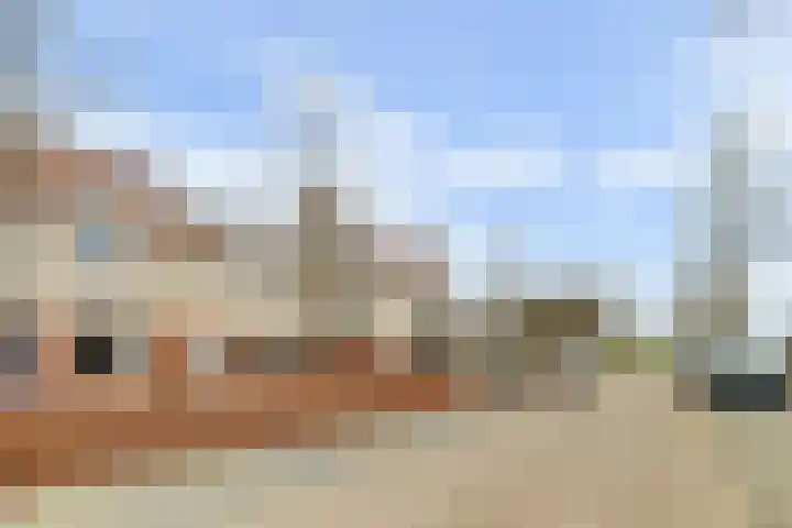 Wilgenakker 8 Galder thumbnail 10