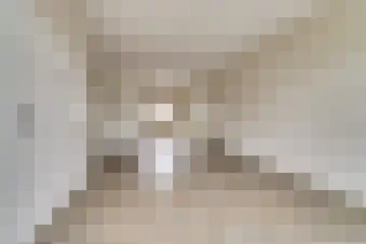 Wilgenakker 8 Galder thumbnail 15