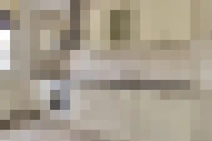 Wilgenakker 8 Galder thumbnail 19