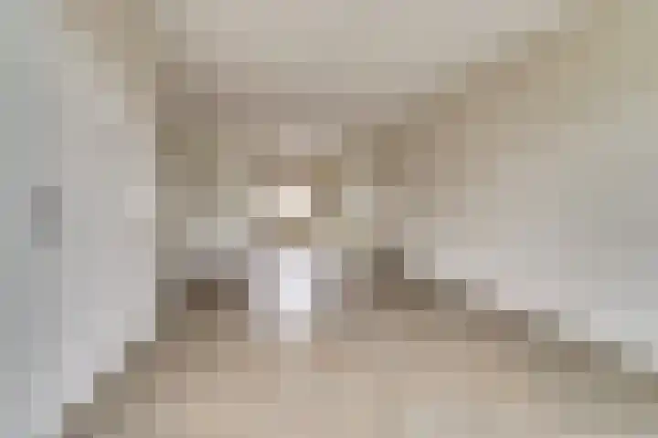 Wilgenakker 8 Galder thumbnail 4