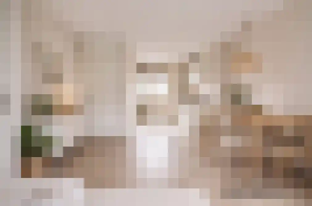 Wilgenakker 8 Galder thumbnail 5