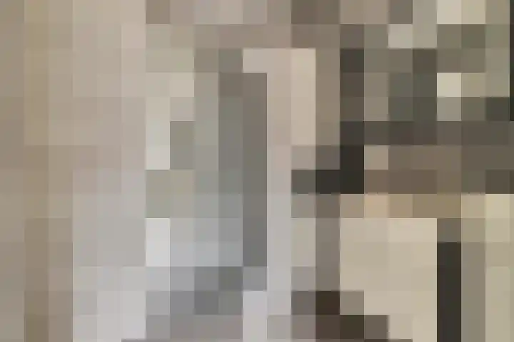 Wilgenakker 8 Galder thumbnail 8
