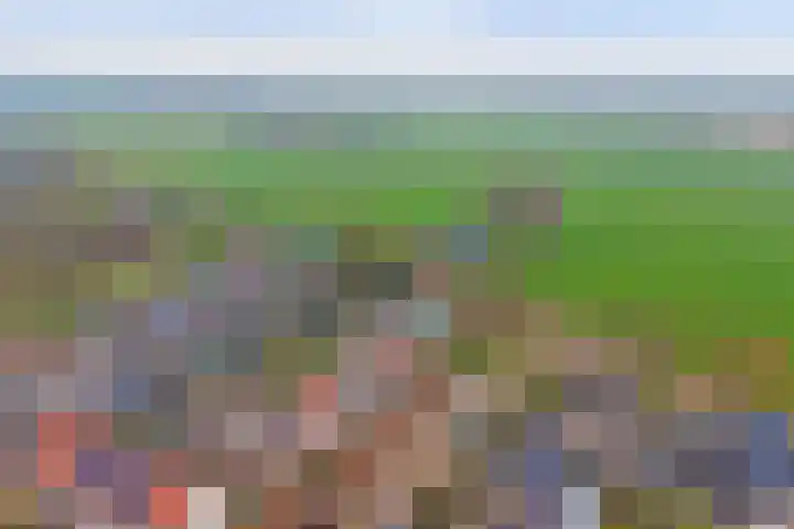 Wilgenakker 8 Galder thumbnail 9