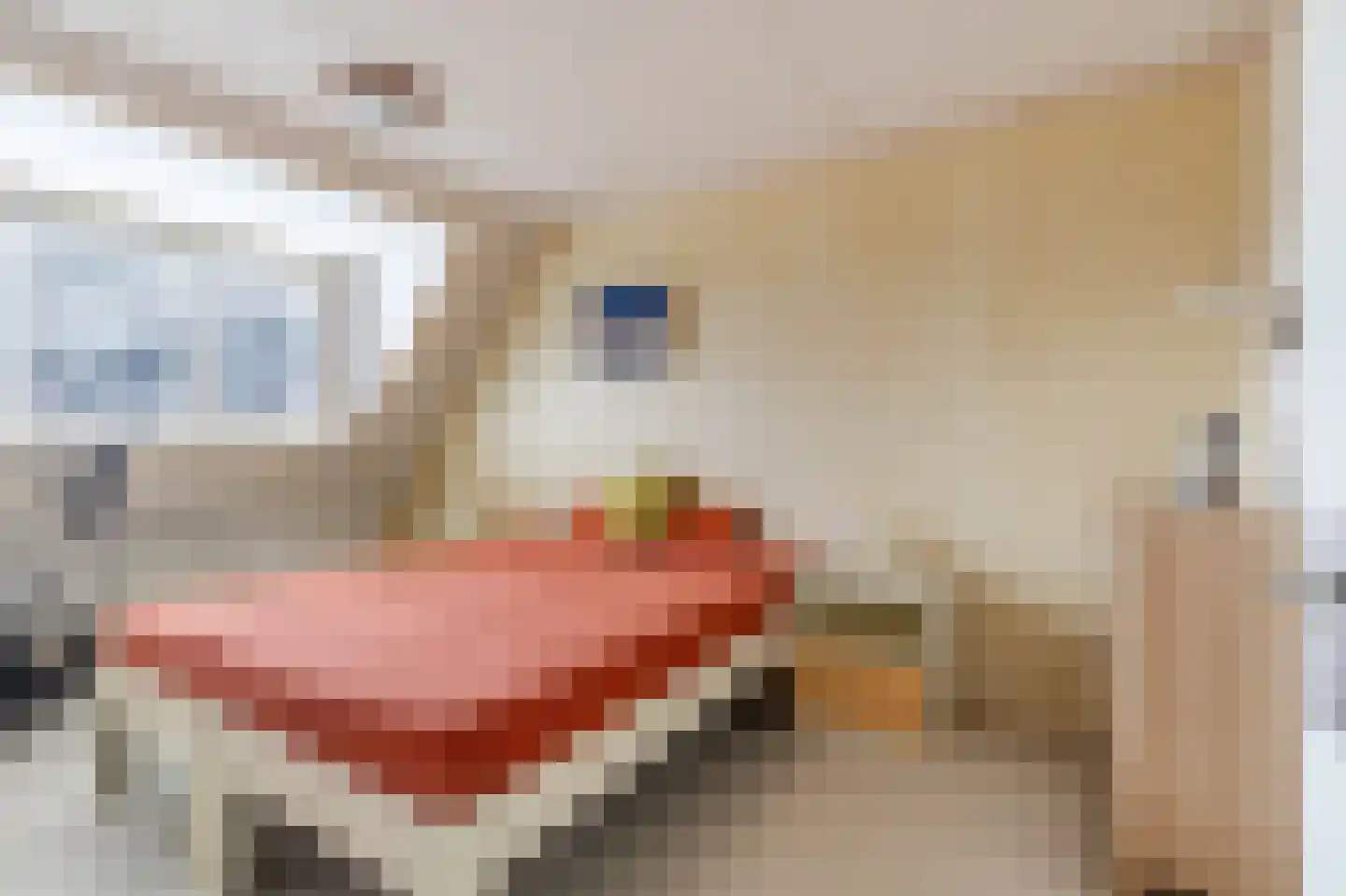 Wilgenbeemd 10 Assen thumbnail 23