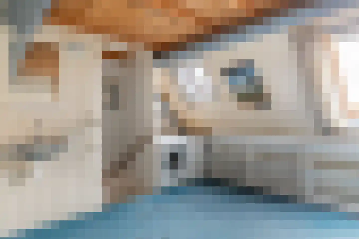 Wilgenbeemd 10 Assen thumbnail 28