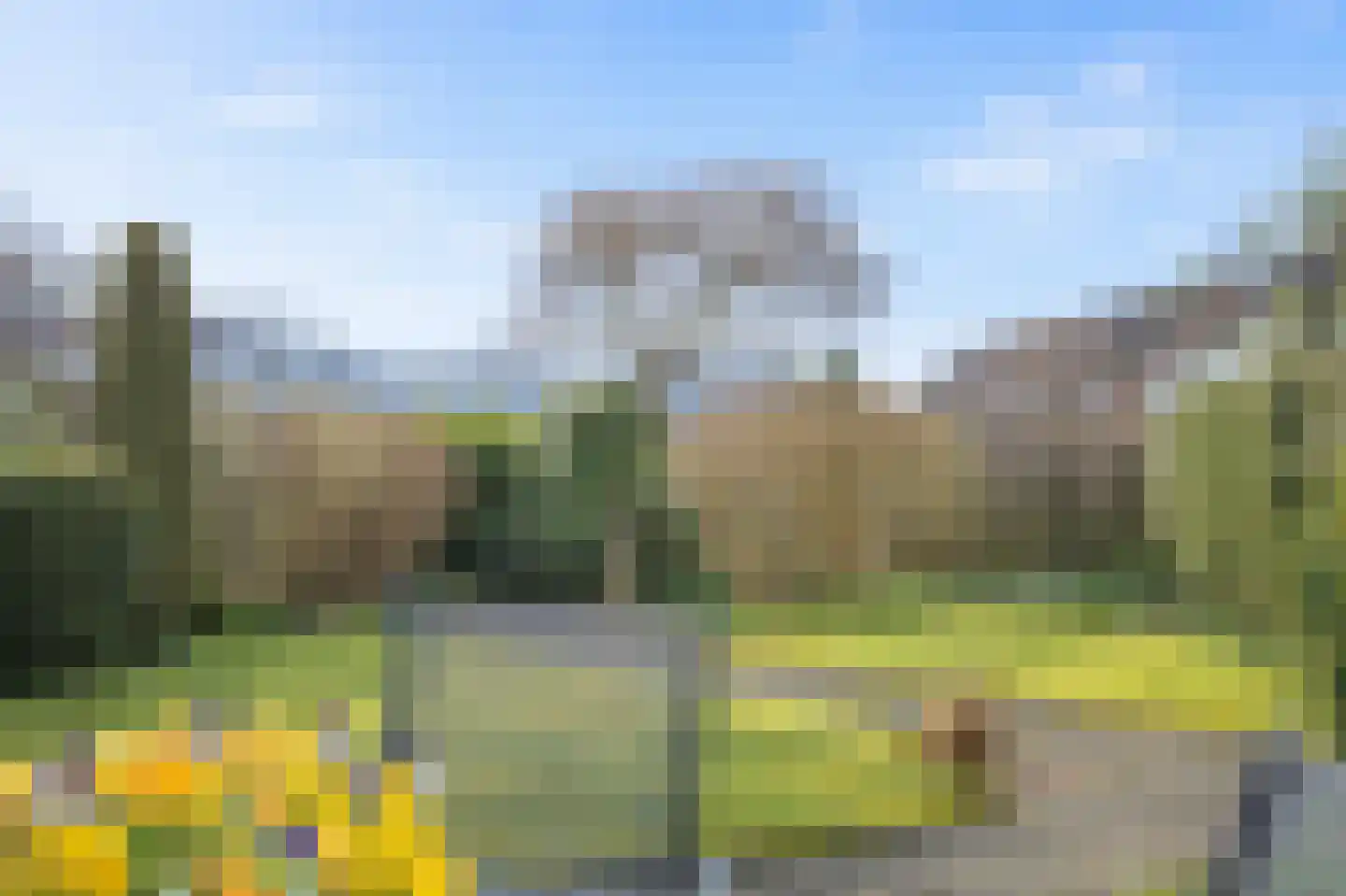 Wilgenbeemd 10 Assen thumbnail 33