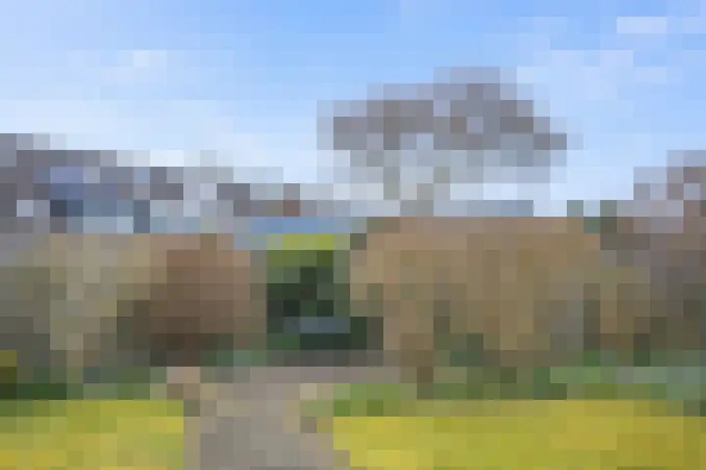 Wilgenbeemd 10 Assen thumbnail 34