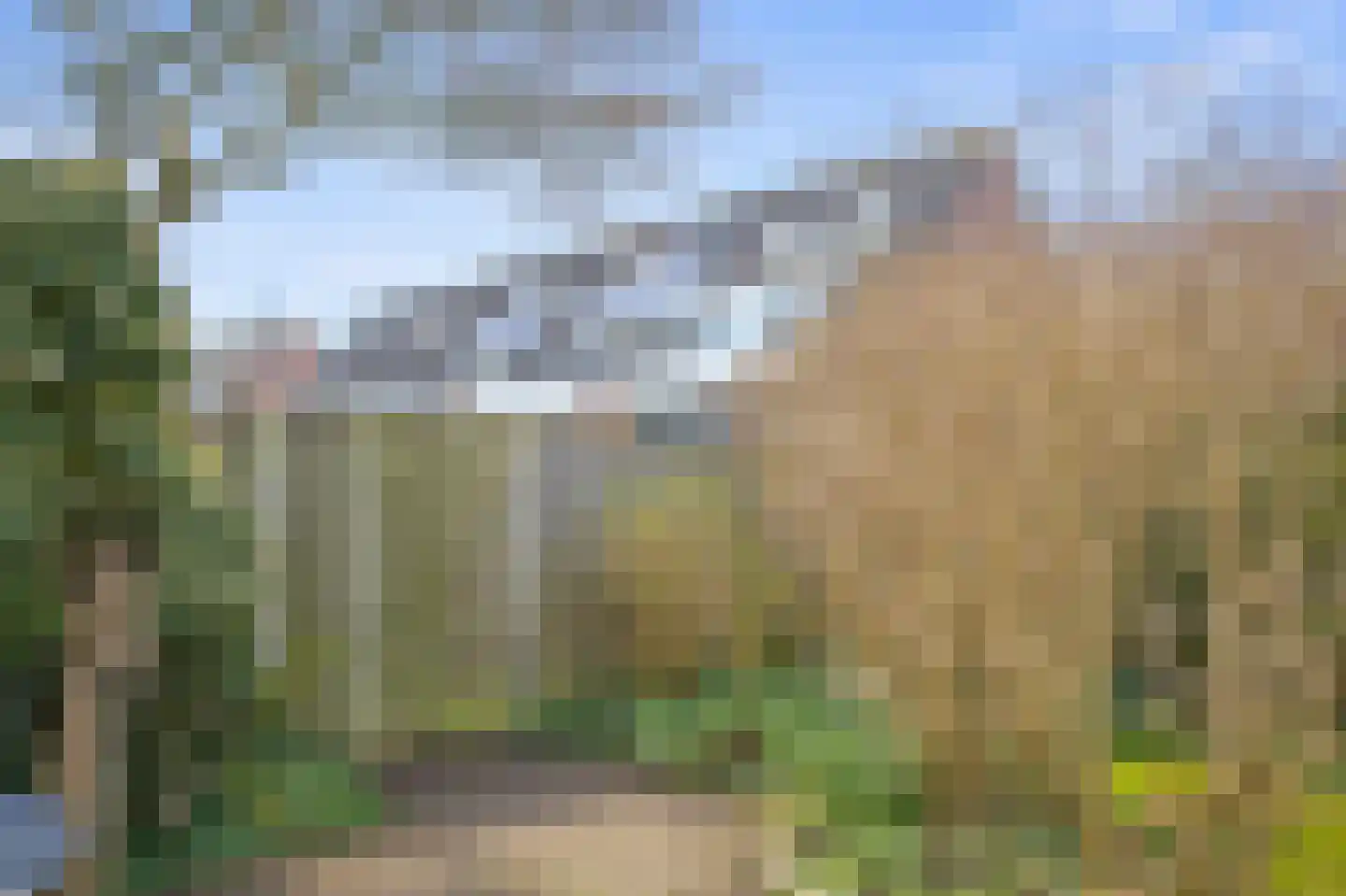 Wilgenbeemd 10 Assen thumbnail 35
