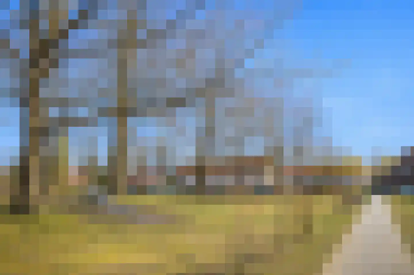Wilgenbeemd 10 Assen thumbnail 39
