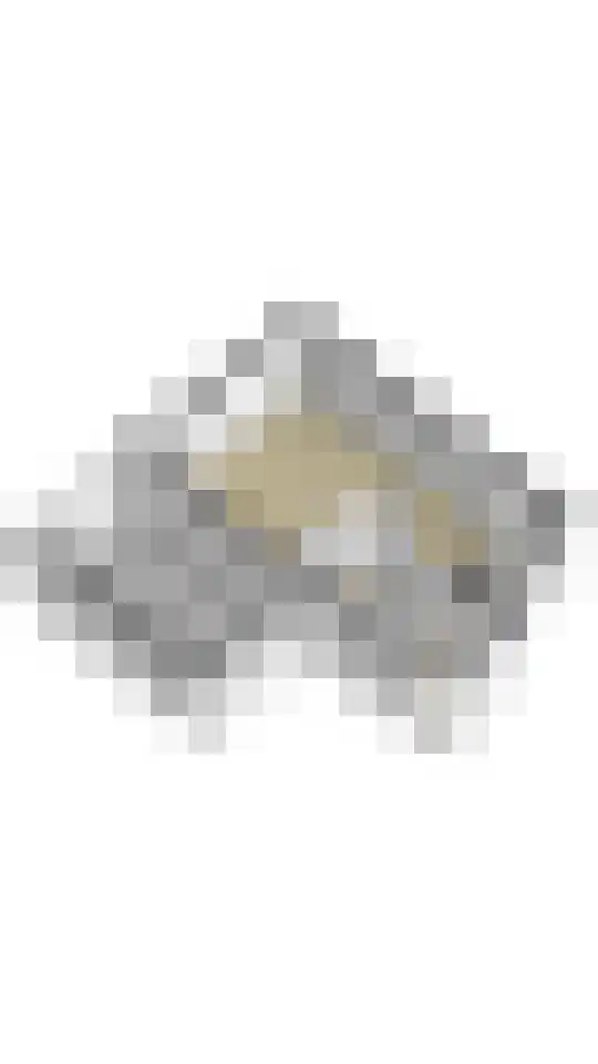 Wilgenbeemd 10 Assen thumbnail 47