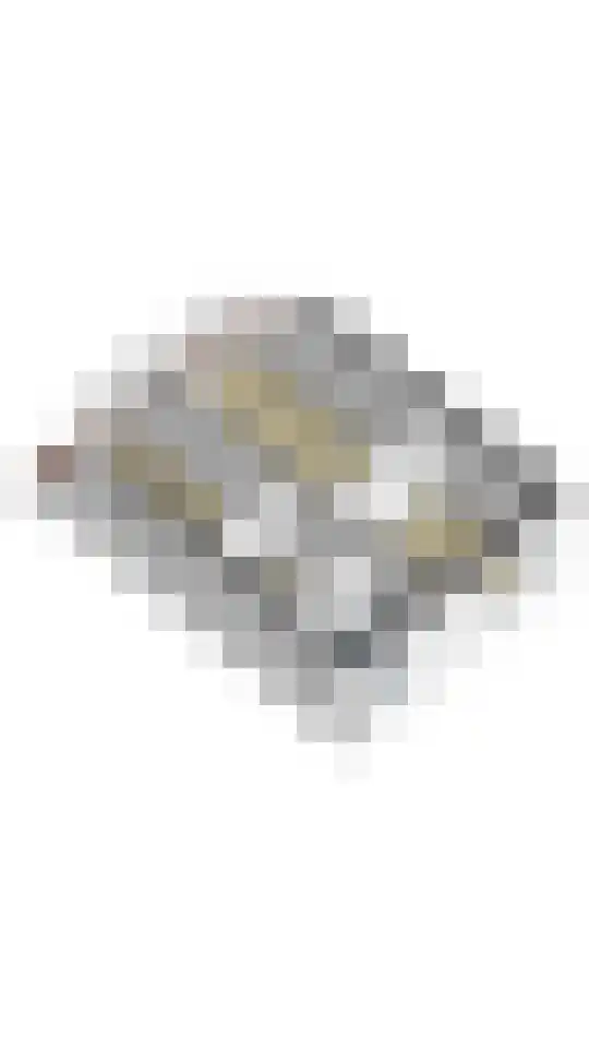 Wilgenbeemd 10 Assen thumbnail 48