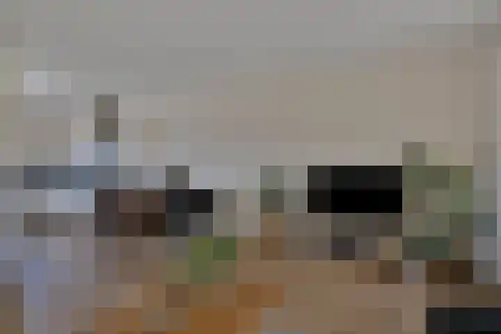 Wilgenbeemd 12 Assen thumbnail 10