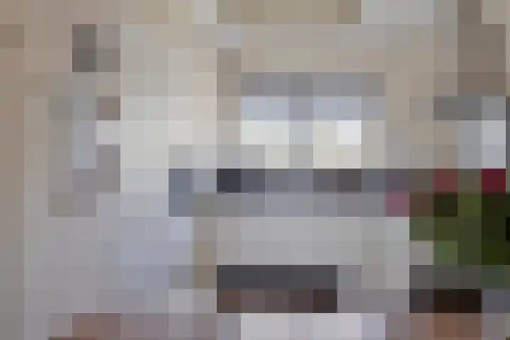 Wilgenbeemd 12 Assen thumbnail 12