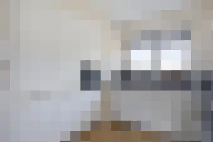 Wilgenbeemd 12 Assen thumbnail 13