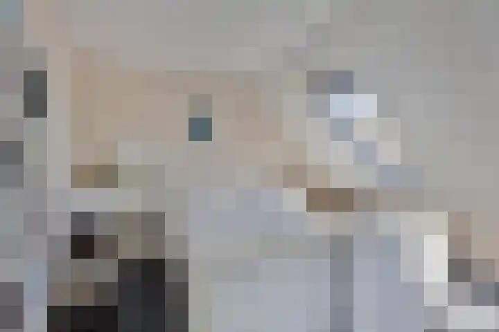 Wilgenbeemd 12 Assen thumbnail 16