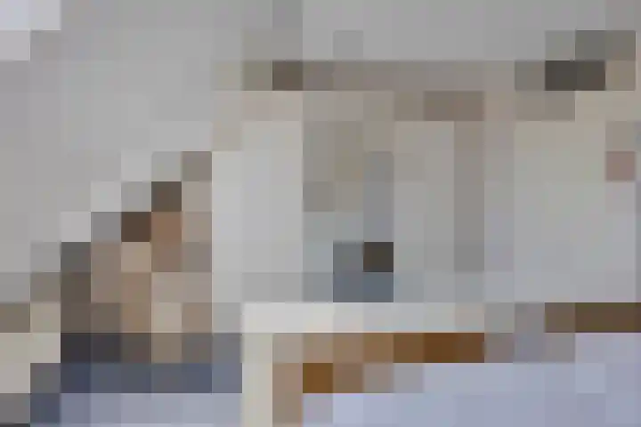 Wilgenbeemd 12 Assen thumbnail 17