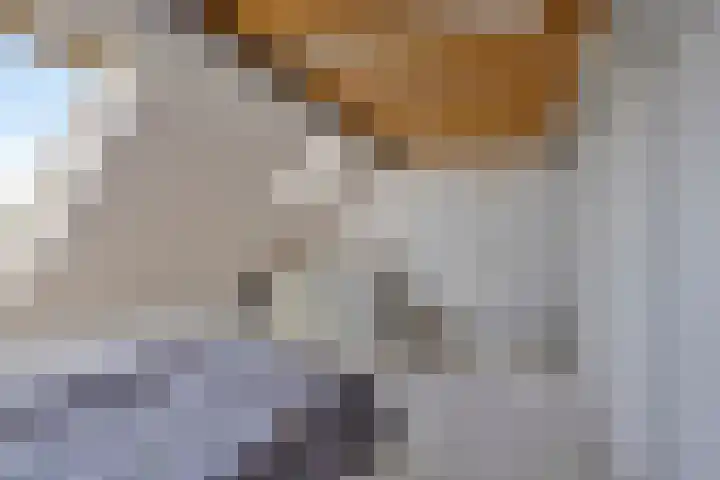 Wilgenbeemd 12 Assen thumbnail 22