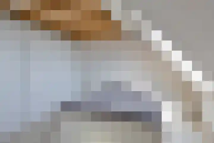 Wilgenbeemd 12 Assen thumbnail 23