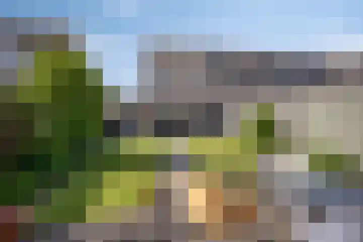 Wilgenbeemd 12 Assen thumbnail 24